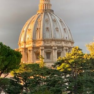 Meet your Posher, Rose